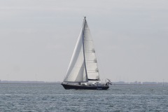 9. Op de  Oosterschelde februari 2024, heerlijk winterzeilen.