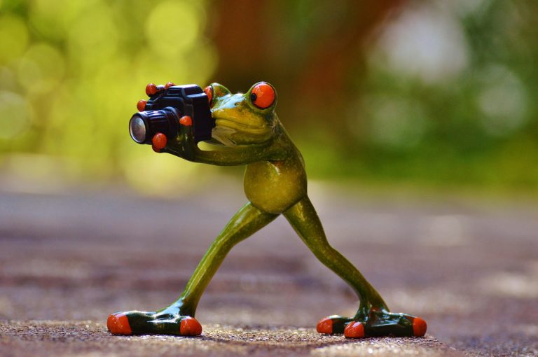 Lees meer over het artikel Kies de 5 mooiste foto’s uit!